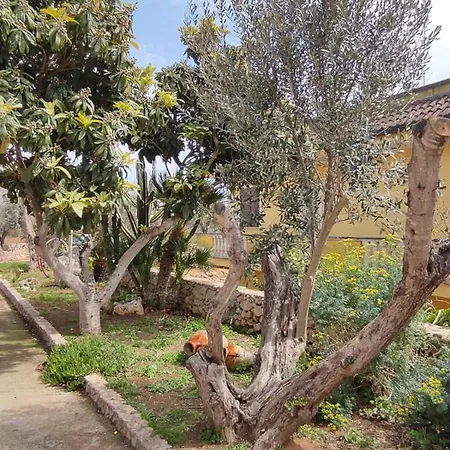 Sargheruoli