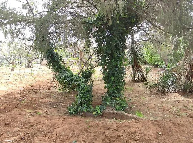 Sargheruoli * Monteroni di Lecce