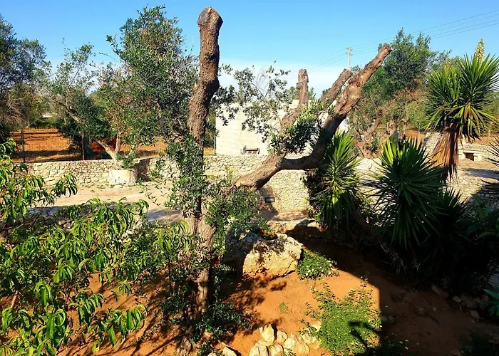 Lejlighed Sargheruoli *