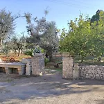Sargheruoli