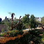 Sargheruoli Monteroni di Lecce