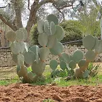 Sargheruoli *