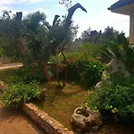 Sargheruoli *