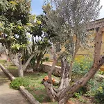 Sargheruoli