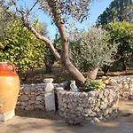Sargheruoli