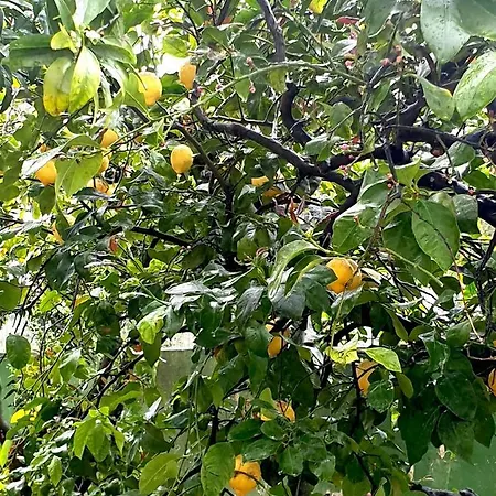 Sargheruoli Apartmán Monteroni di Lecce