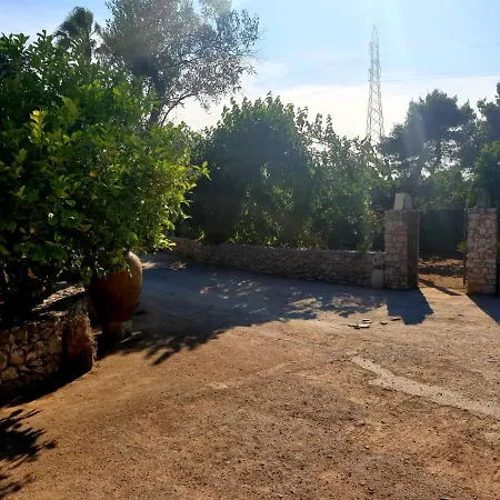 Sargheruoli *