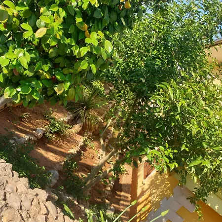Sargheruoli *