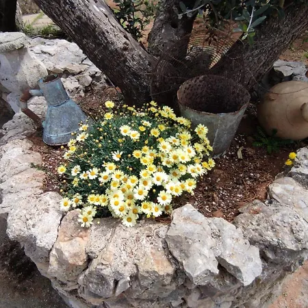 Sargheruoli Apartmán *