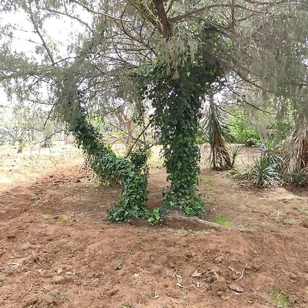 Sargheruoli * Monteroni di Lecce