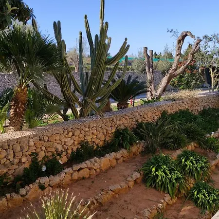 Sargheruoli Apartmán