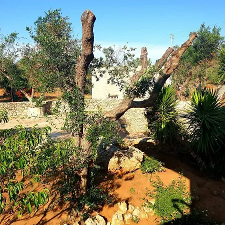 Apartmán Sargheruoli *