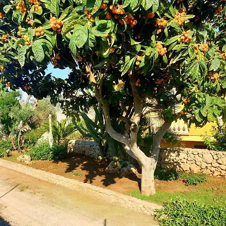Sargheruoli *