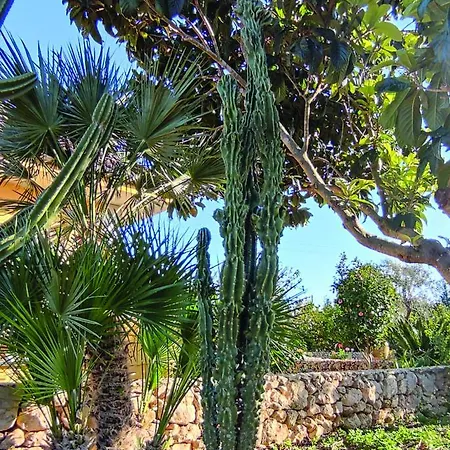 Sargheruoli Monteroni di Lecce