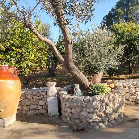 Sargheruoli