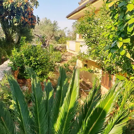 Sargheruoli *