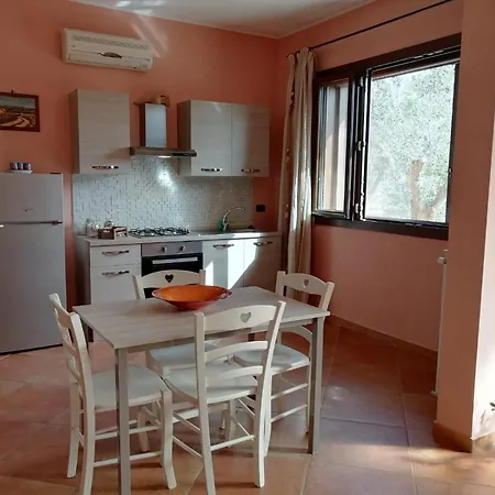 Sargheruoli