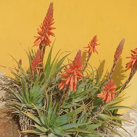 Apartmán Sargheruoli