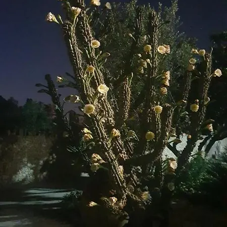 Sargheruoli Apartmán